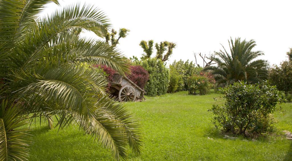 Locanda Il Girasole Ancona Bagian luar foto