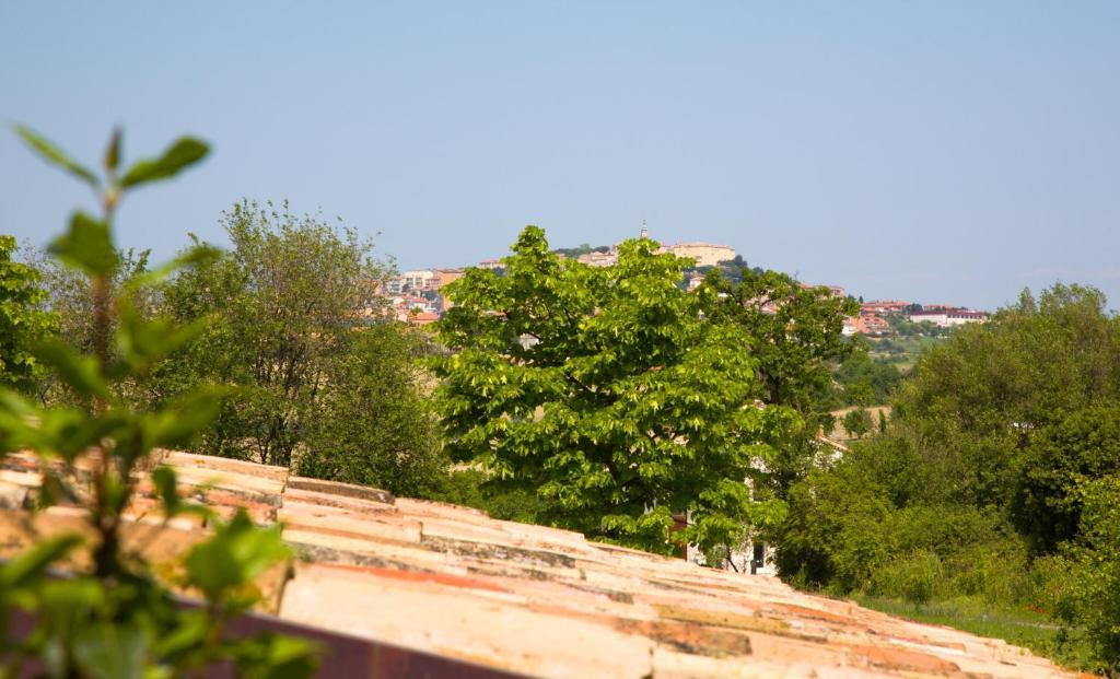Locanda Il Girasole Ancona Ruang foto